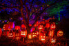 15 pomysłów na halloweenową sesję zdjęciową na 2026 rok: straszne, zabawne i przyjazne rodzinom