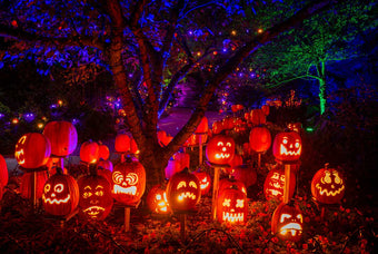 15 Halloween Photoshoot Ideas for 2026: Spooky, Fun and Family-Friendly