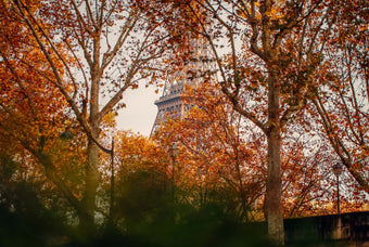How to Take Better Fall Photos: 5 Tips for Autumn Colors and Soft Light