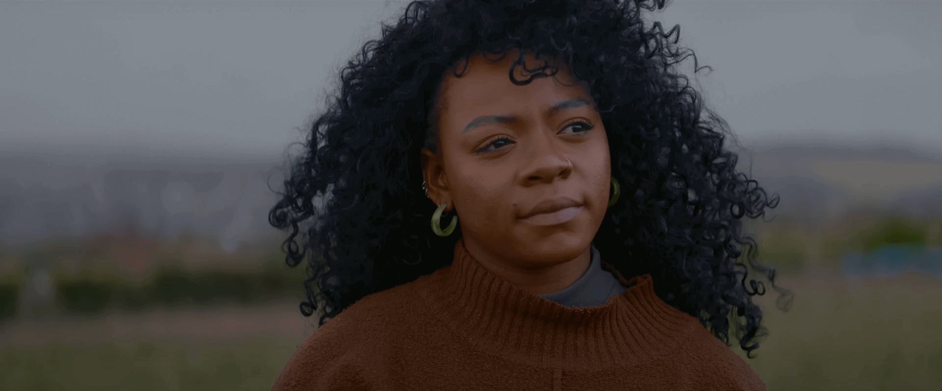 $1.500 vs $30.000 Anamorfisk Linse