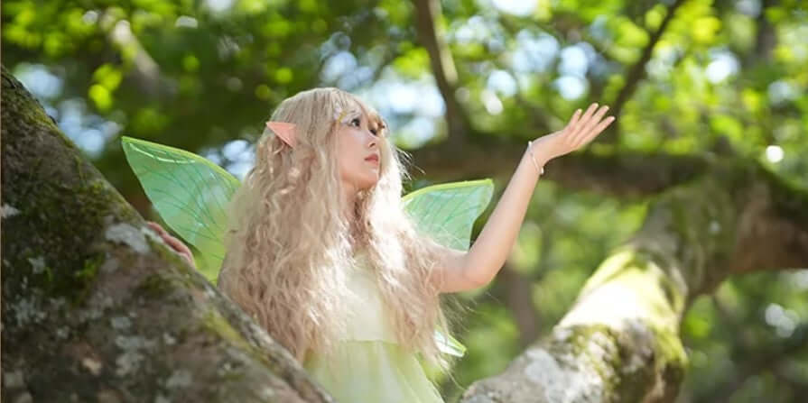 Fotografie 101 | Was bedeutet es, wenn ein Kameraobjektiv weich ist?