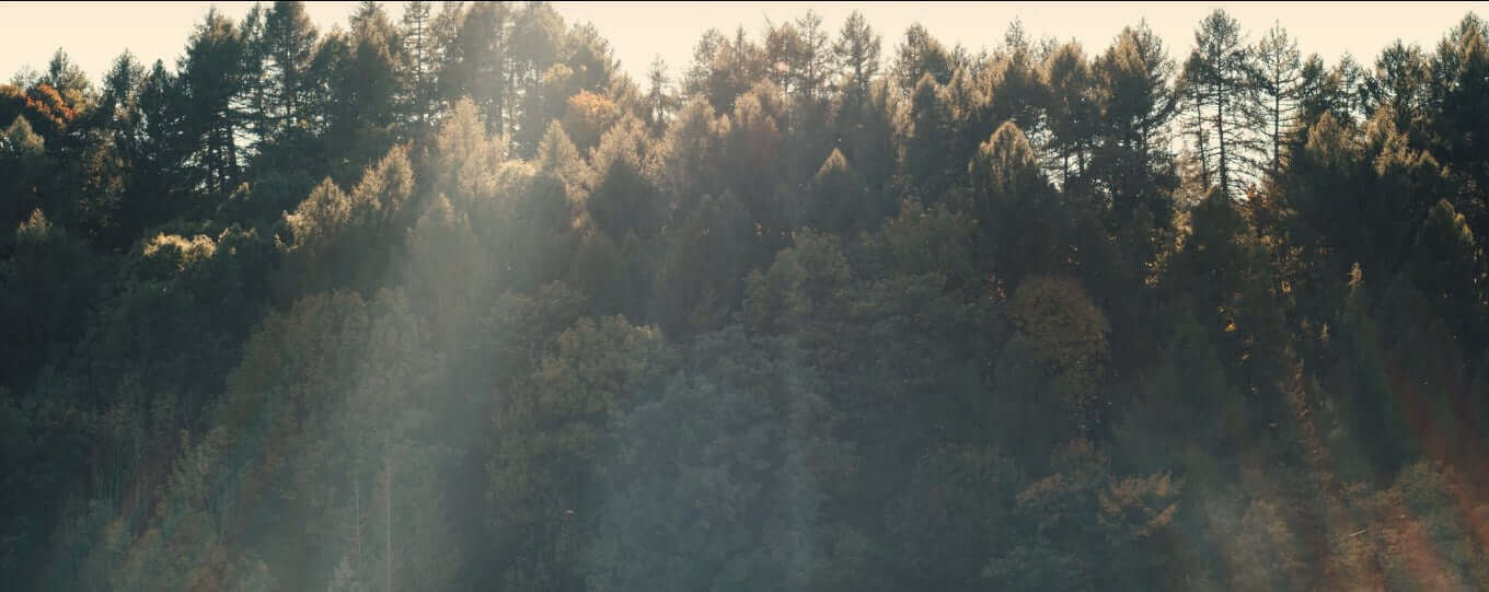 SIRUI, Record the Beautiful Earth with Anamorphic Lens