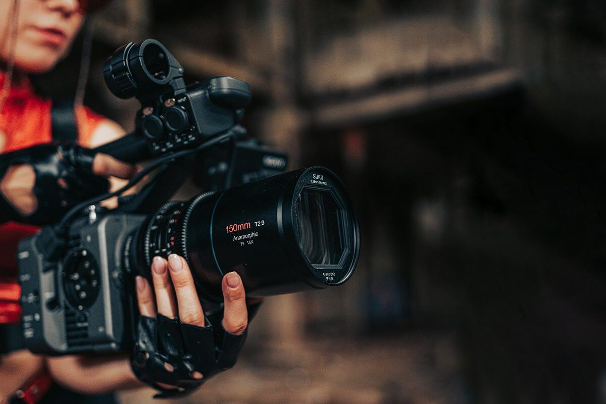 Best Camera for Birding | Affordable to Pro-Level Options